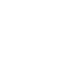 50 100TH ANNIVERSARY SHINWA